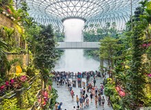 打造生態化公共空間，助力人文機場建設