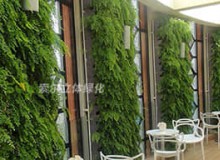 影響室內植物墻的環境因素有哪些？