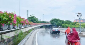 南寧竹溪立交橋綠化