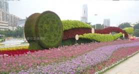 南寧中盟商務與投資峰會廣場景觀提升