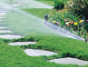 公園智慧管養(yǎng)系統(tǒng)應(yīng)用