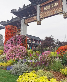 景區景觀綠化提升