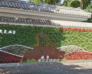 邯鄲叢臺公園景觀提升