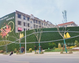 宿州老舊小區景觀提升立體綠化項目