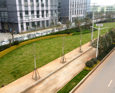《境壩工業(yè)園大道》——南康城市道路景觀提升