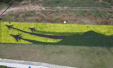 飛行小鎮主題元素