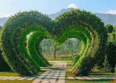 公園景觀提升解決方案