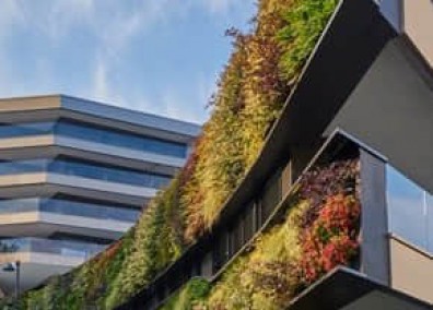 小區立體綠化解決方案