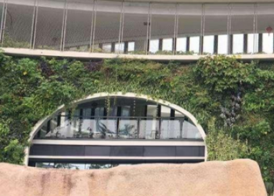 學校立體綠化解決方案