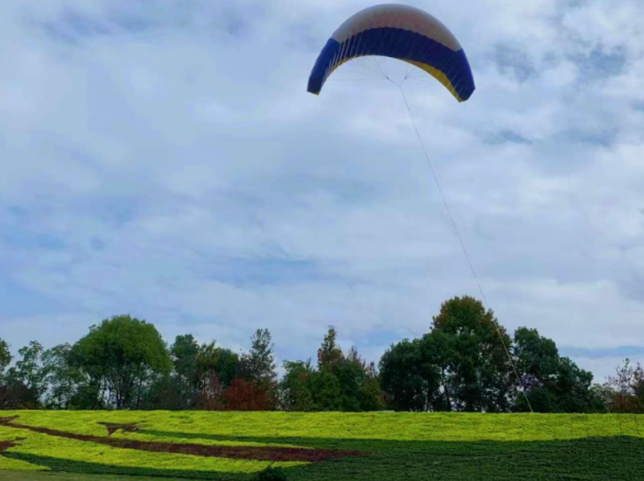 《暢想藍(lán)天·筑夢飛行》——南康飛行小鎮(zhèn)邊坡綠化
