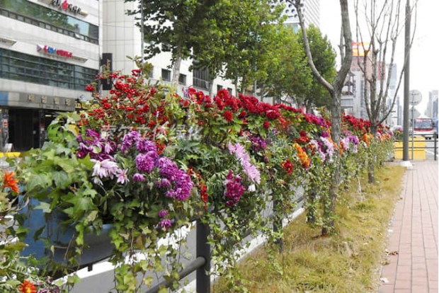 市政道路景觀提升