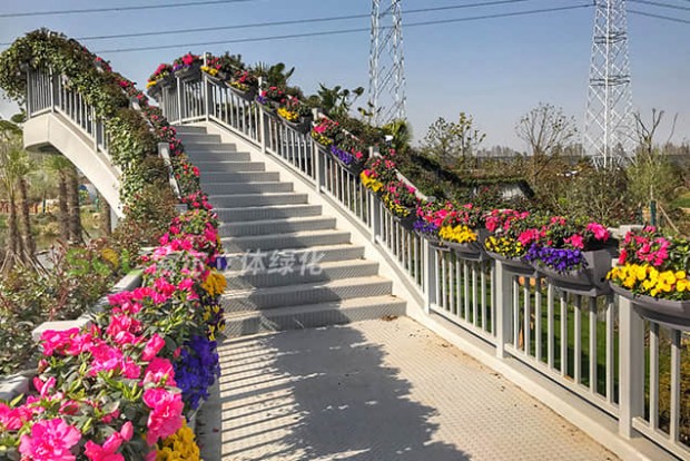 人行天橋綠化景觀設(shè)計實(shí)際效果圖