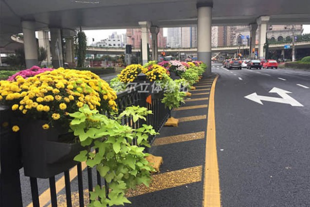 護(hù)欄綠化景觀設(shè)計實(shí)際效果圖