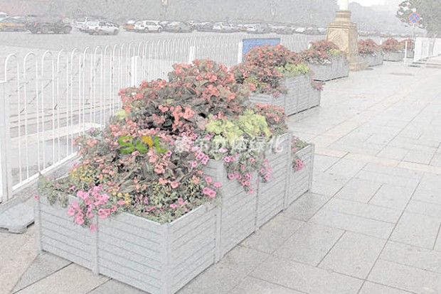 組合造景景觀設(shè)計效果圖