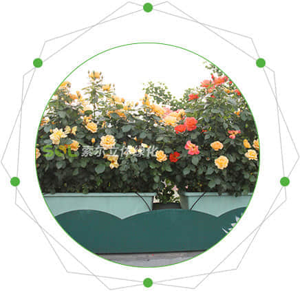 高架橋綠化的特點