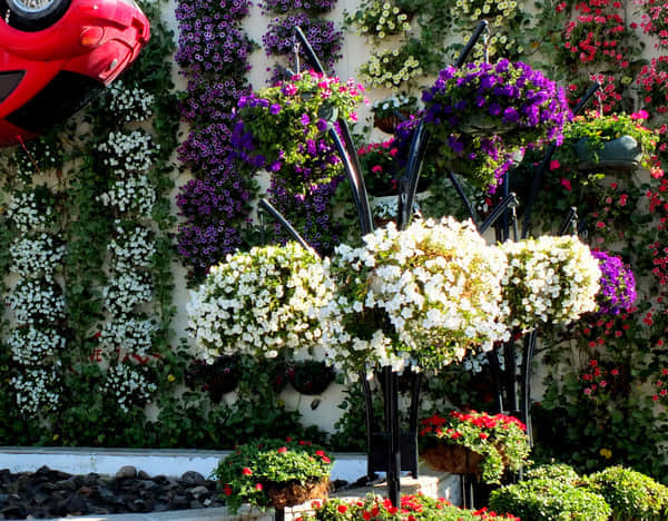 花樹解決方案簡介2