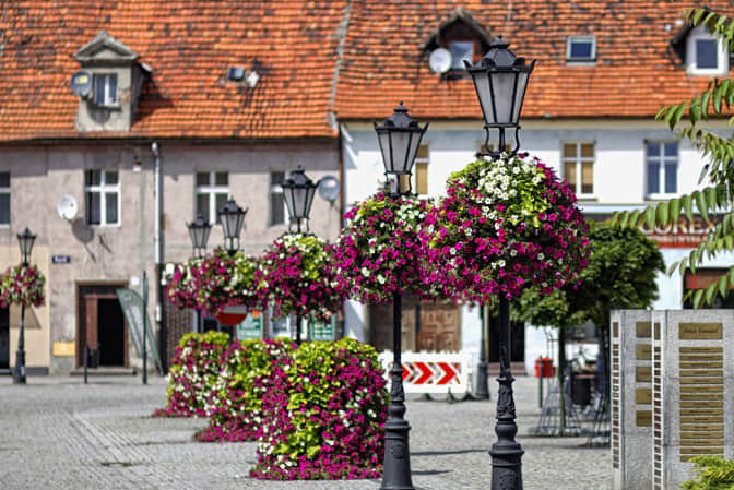 廣場公園景點(diǎn)景觀提升3