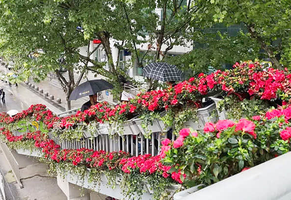 人行天橋景觀提升