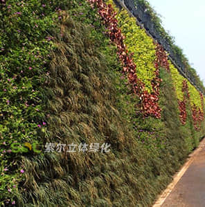 容器模塊式植物墻