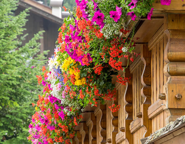 陽臺花園解決方案簡介