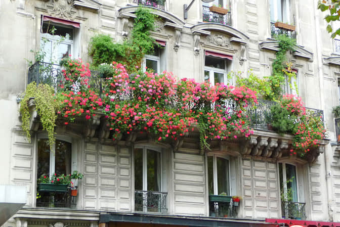居住空間景觀提升高端別墅陽臺花園