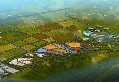 高效農業(yè)型美麗鄉(xiāng)村