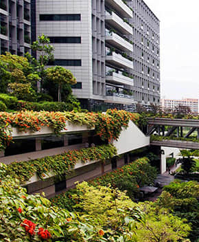 醫(yī)院立體綠化解決方案