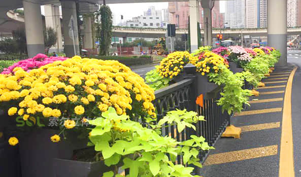 護(hù)欄綠化解決方案