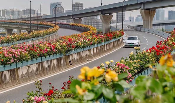 高架橋綠化解決方案