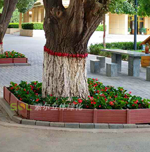 行道樹樹池美化