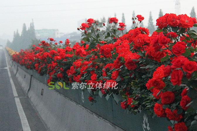 高架橋景觀提升