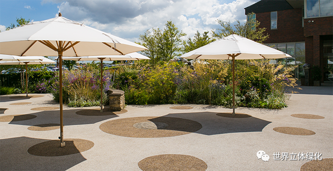 27索爾茲伯里醫院康沃爾公爵脊柱治療中心花園01 (1).png