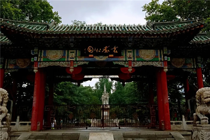 邯鄲首個“墻上花園”亮相,不但好看,還能降噪、除塵! (1).jpg