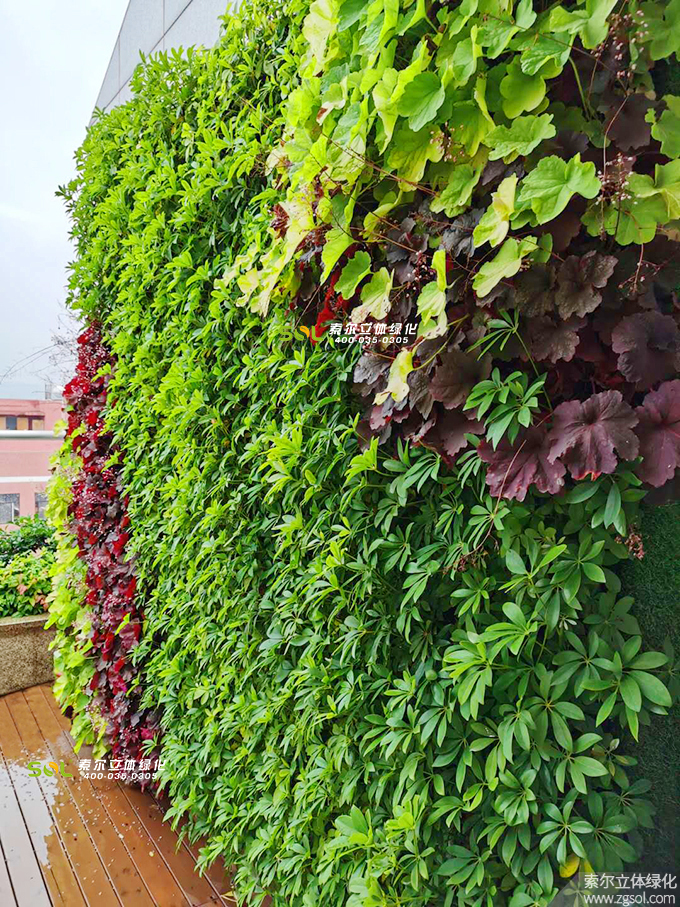 23 2019年7月浙江金華巨宏工貿辦公大樓屋頂花園項目 (3).jpg