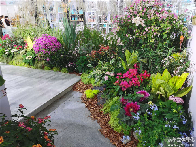 第二十二屆中國國際花卉園藝展-索爾 (4).jpg