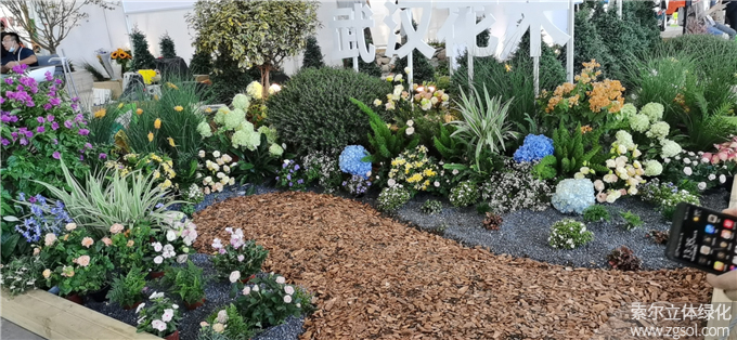 第二十二屆中國國際花卉園藝展-索爾 (5).jpg