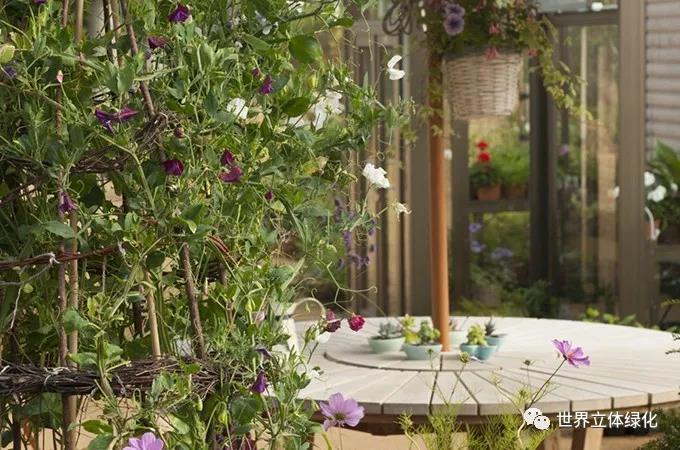 33格拉斯哥伊麗莎白女王大學醫院伊麗莎白女王國家脊柱傷害科花園 (4).jpg