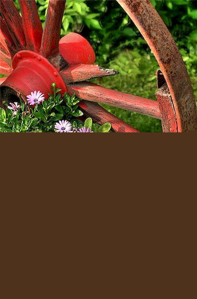 12庭院小景輪子 (2).jpg