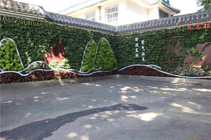 邯鄲首個“墻上花園”亮相,不但好看,還能降噪、除塵! (5).jpg
