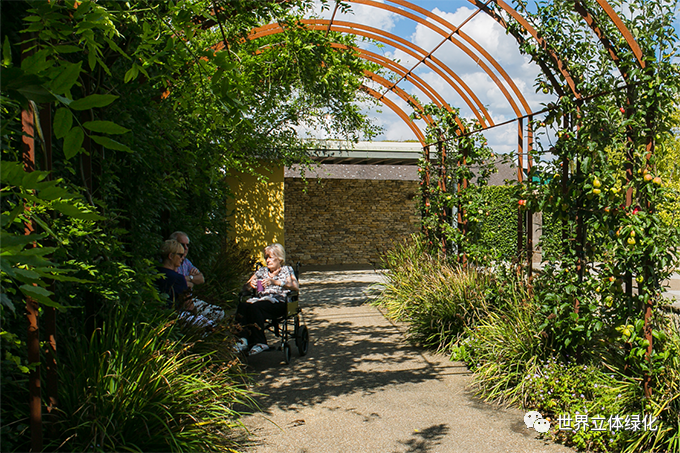 05索爾茲伯里醫院康沃爾公爵脊柱治療中心花園01 (4).png