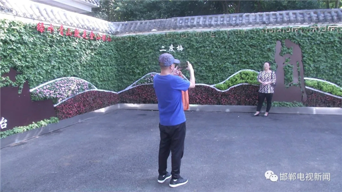 邯鄲電視新聞:我市首例“墻上花園”亮相叢臺公園 (1).jpg