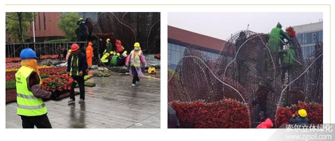 24山東青島膠州市民文化中心五一立體花壇“幸福花開(kāi)” (45).jpg