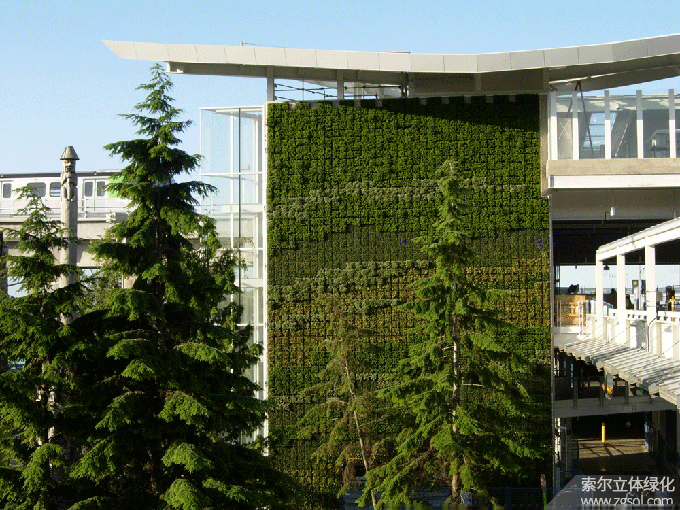 23溫哥華國(guó)際機(jī)場(chǎng)植物墻.jpg