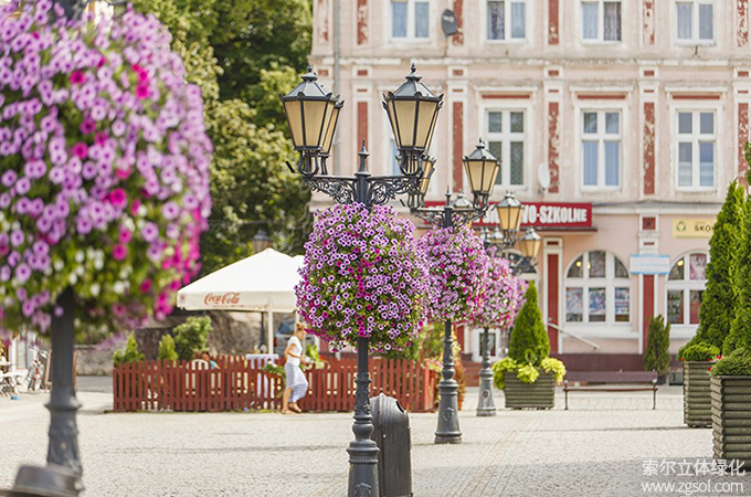 33廣場燈桿綠化 (3).jpg