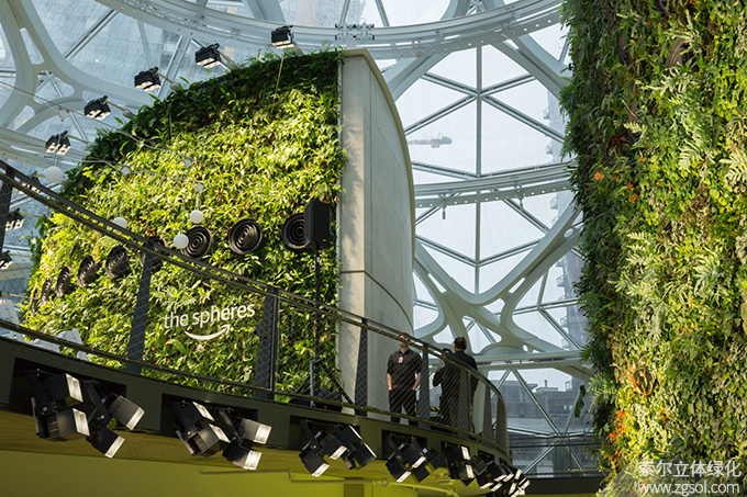 24室內植物墻 (12).jpg