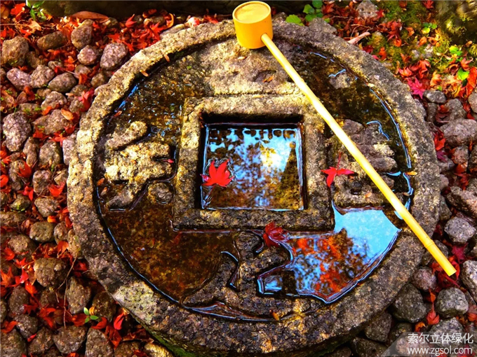 23日式庭院-金佛寺 (7).jpg