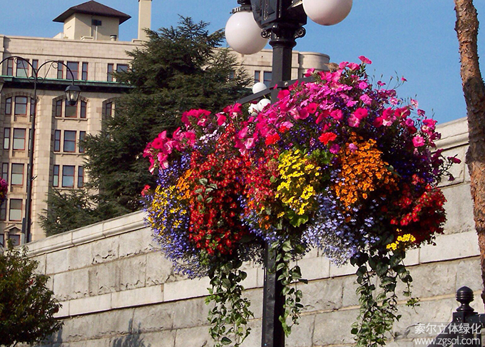 38燈桿綠化 (74).jpg