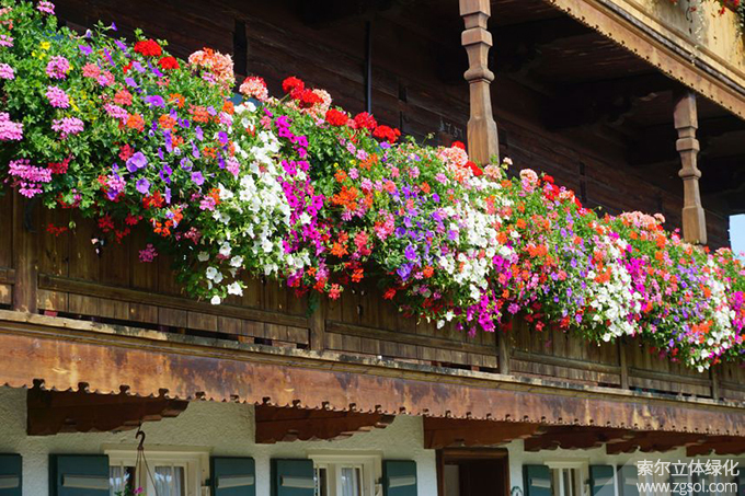 42陽臺美化 (86).jpg