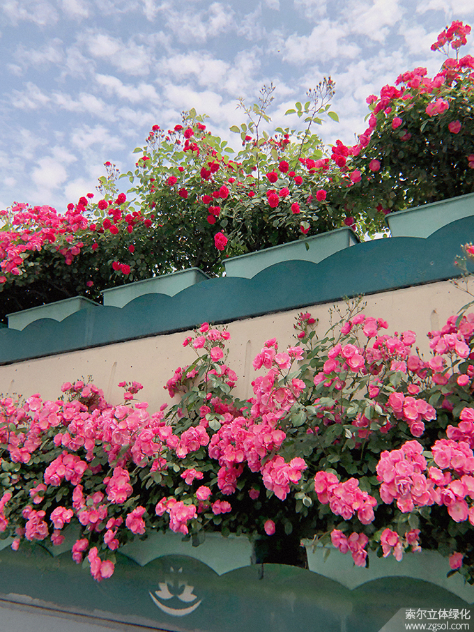 07杭州高架2021年 (46).jpg